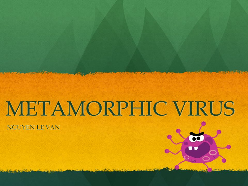 metamorphic virus